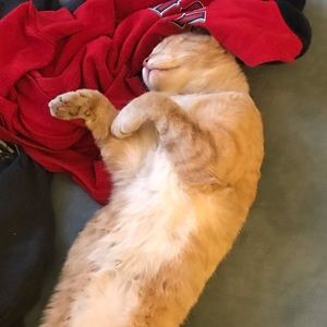 Meet your Posher, Abdul